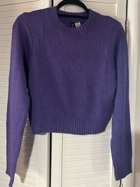 H&M Purple Sweater